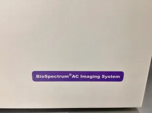 UVP Biospectrum AC Fluorescence and Chemiluminescent Gel Imaging System with CCD Camera, 20 of 22