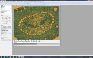Zeiss PALM MicroBeam Laser Microdissection System with PC and Software, 11 of 109