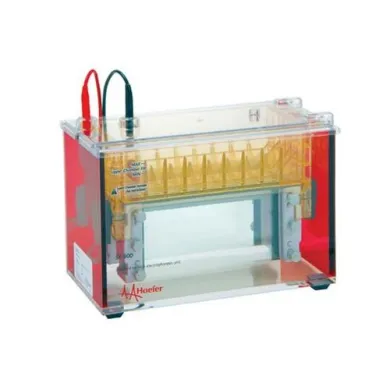 Hoefer SE640 Wide-Mini Vertical Protein Electrophoresis Basic Unit