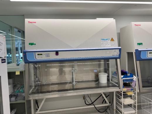 Thermo Fisher Scientific Thermo Safe 2020 S2020 1.8 Class II Type A2 Biosafety Cabinet-cover