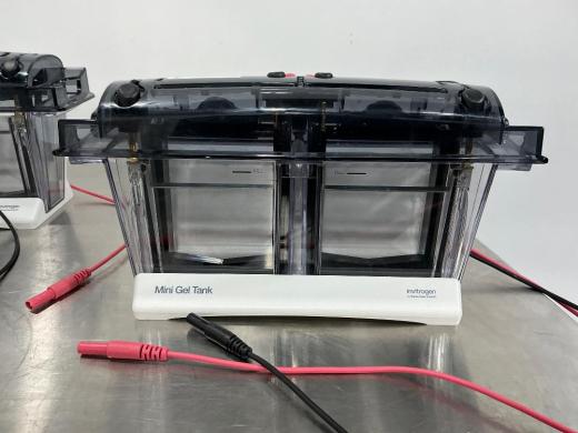 Invitrogen Mini Gel Tank Electrophoresis System for DNA and Protein Separation-cover