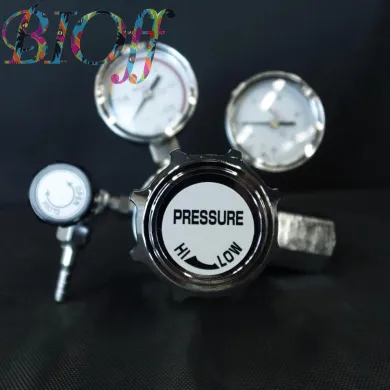 6145 NISSHIN CO2 Gas Regulator