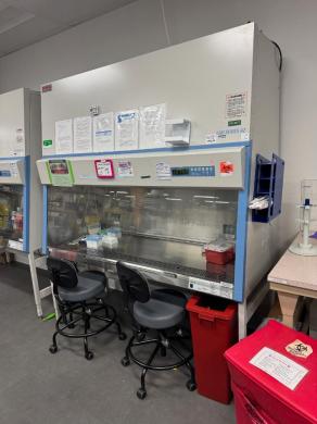 Thermo 1300 Series A2 6-Foot Class II Type A2 Biosafety Cabinet-cover