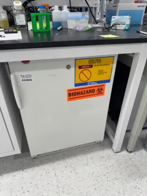 Thermo Fisher Scientific Undercounter Laboratory Refrigerator with Adjustable Shelving