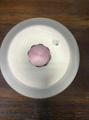 Eppendorf A-12-11-cover