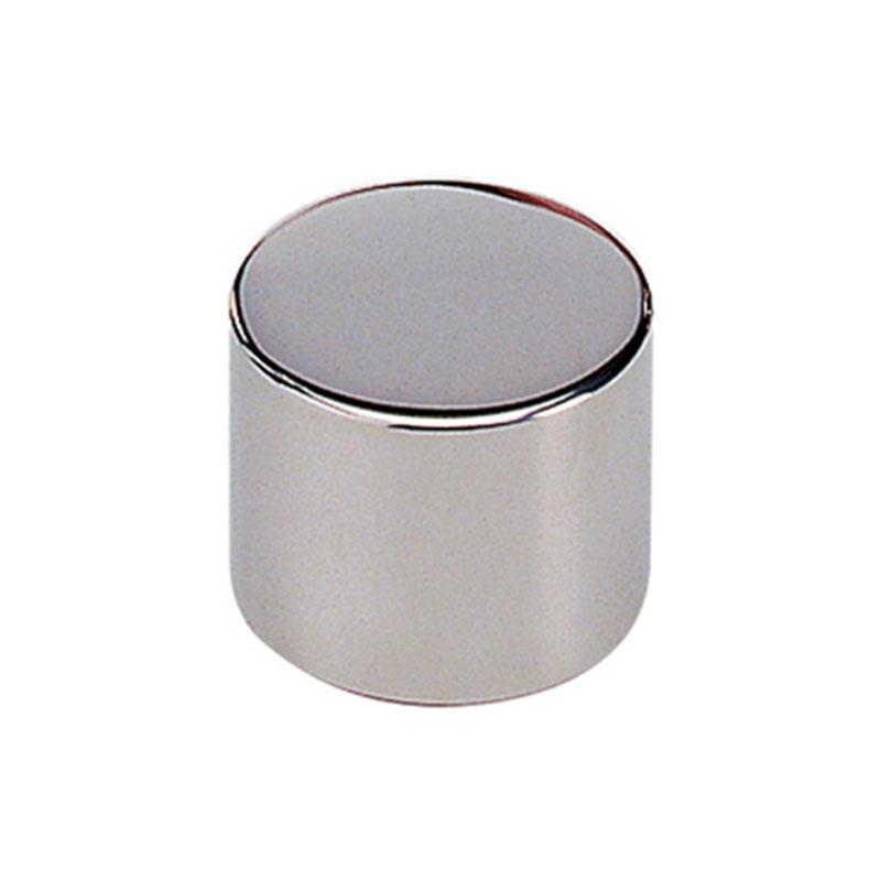 Radwag E2 Mass Standard - Cylinder Weight - 20 g