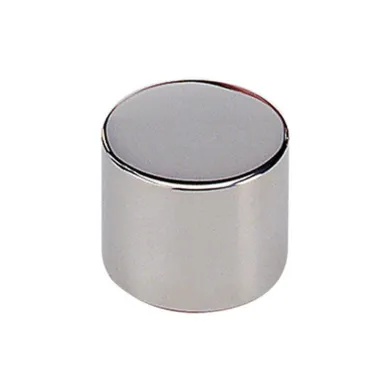 Radwag F1 Mass Standard - cylindrical weight - 2 kg