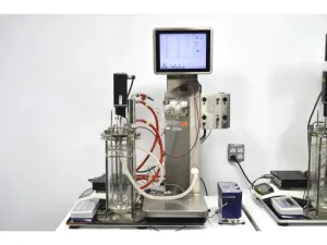 Infors HT Labfors 5 Benchtop Bioreactor System, Three-Fold, Jacketed 3.6 L Vessels, 15 of 56
