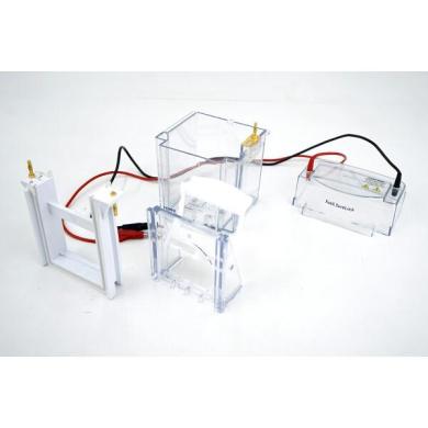 Invitrogen Novex XCell SureLock Mini-Cell 8x8 cm NuPAGE Mini Gel Electrophoresis System-cover