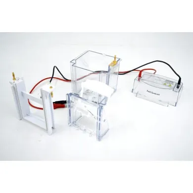 Invitrogen Novex XCell SureLock Mini-Cell 8x8 cm NuPAGE Mini Gel Electrophoresis System