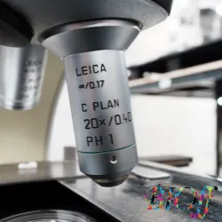 Leica DMLS Upright Optical Microscope with Canon Camera and Phase-Contrast Objectives, 7 of 14