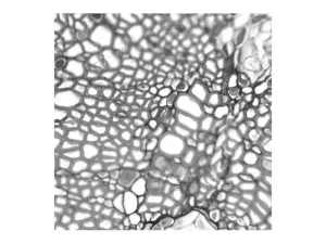 Nikon Ti2-E PFS N-SIM Super-Resolution Inverted Motorized Microscope with Dual Fluorescence Illumination, 36 of 63