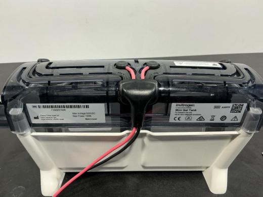 Invitrogen Mini Gel Tank Electrophoresis System for DNA and RNA Analysis-cover