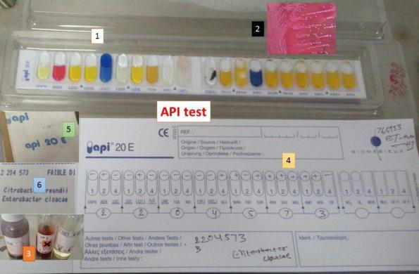 bioMérieux API 20E-cover
