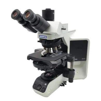 Olympus BX53 Upright Microscope with DIC and Fluorite Objectives