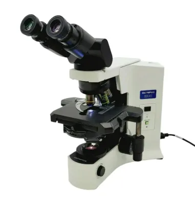 Olympus BX41 Microscope with Phase Contrast and Fluorite Objectives, Tilting Binocular Head