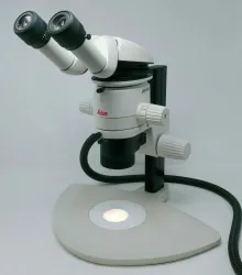 Leica Microscope MZ6 with Tilting Head and Illuminator, 2 of 10