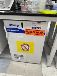 Thermo Fisher Scientific Isotemp Undercounter Freezer for Biohazard Sample Storage, 2 of 3