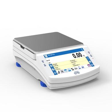 Radwag WLC 1/10.X7 Precision Balance-cover