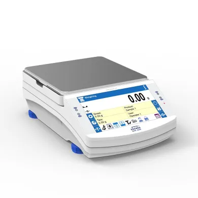 Radwag WLC 2.X7 Precision Balance