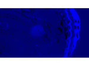 Olympus BX63 Upright Fluorescence Motorized Microscope BX63F with New Fluorescence Filters, 24 of 61