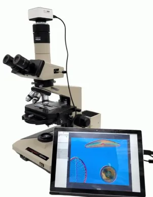 Olympus BH2 Microscope with DIC/NIC, Trinocular Head, and Tucsen GT 5MP Camera