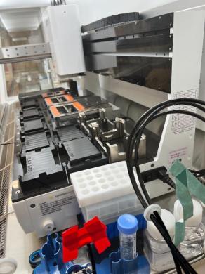 Sartorius AMBR 24 Automated Microbioreactor System for Cell Culture Process Development-cover