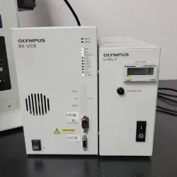 Olympus BX61 Motorized Fluorescence Microscope with FISH Capability, 5 of 5