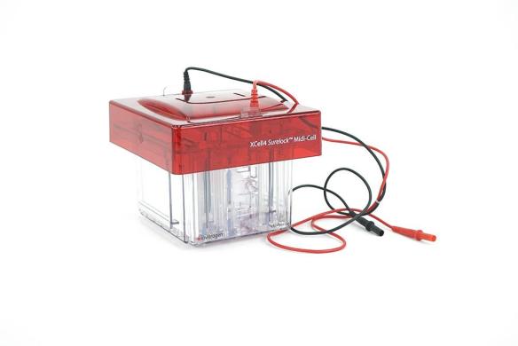 Invitrogen XCell4 SureLock Midi Gel Electrophoresis System 600 V 200 W-cover