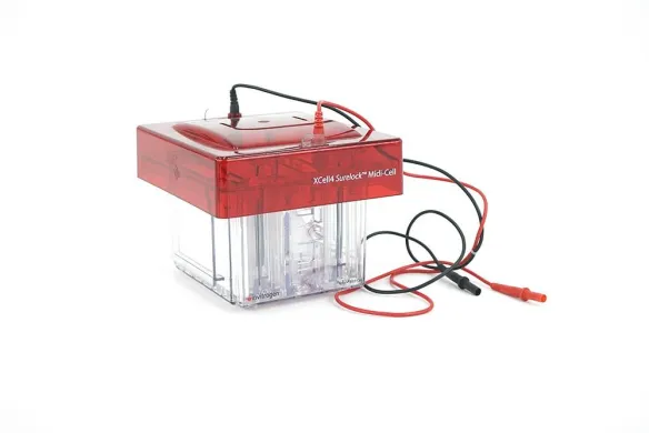 Invitrogen XCell4 SureLock Midi Vertical Gel Electrophoresis System, 600 V, 200 W