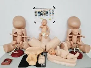 Maternity Birthing Simulator Cervix Examination, 5 of 8