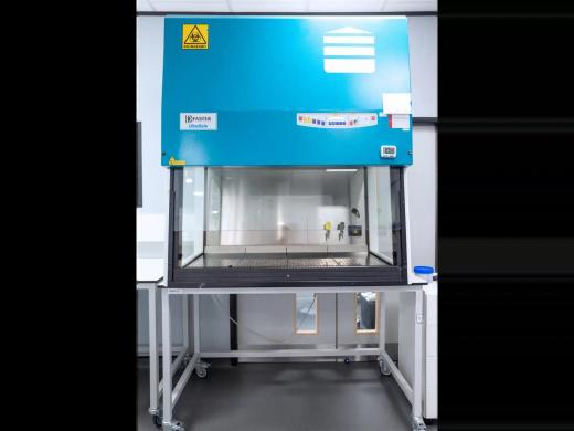 Faster Ultrasafe Class II Microbiological Safety Cabinet CAT II-cover
