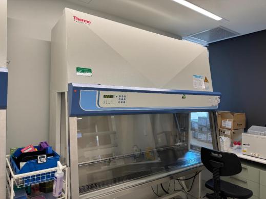 Thermo Fisher Scientific Thermo Safe 2020 S2020 1.8 Class II Biosafety Cabinet 6-ft Work Area-cover