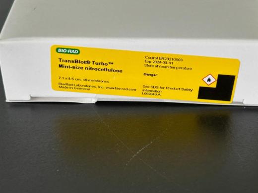 Bio-Rad Trans-Blot Turbo Mini-Size Transfer Stacks for Western Blot Protein Transfer-cover