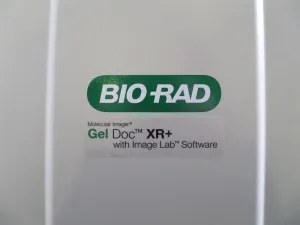 Bio-Rad Gel Doc XR+ Gel Documentation and Imaging System, 8 of 22