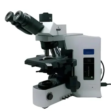 Olympus BX51 Trinocular Microscope with Mechanical Stage and 5-Position Nosepiece