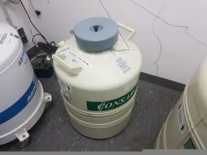 CONSARCTIC ABV48 Liquid Nitrogen Storage Vessel, 5 of 5