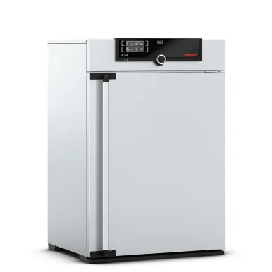 Memmert IF160 Forced Circulation Incubator 161L, 115V