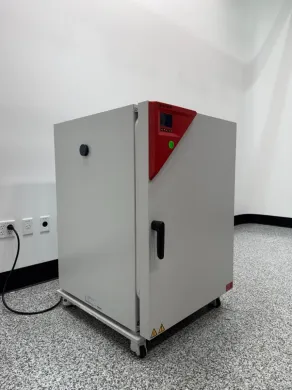 Binder CB-S 260 - UL E7 CO2 Laboratory Incubator with Digital Control and Stainless Steel Interior