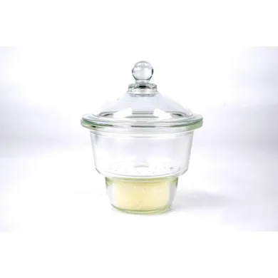 Duran Desiccator with Porcelain Plate 200mm