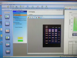 Bio-Rad Gel Doc XR+ Gel Documentation and Imaging System, 5 of 22