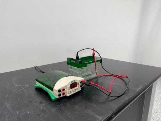 Bio-Rad PowerPac Basic Electrophoresis System-cover