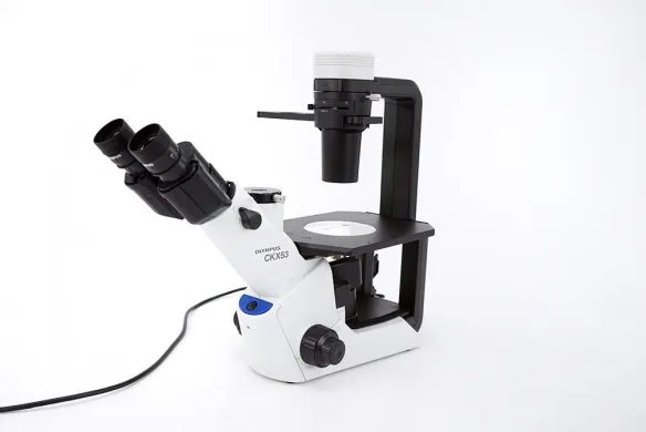 Olympus CKX53SF Inverted Phase Contrast Cell Culture Microscope, Trinocular, 4x–40x