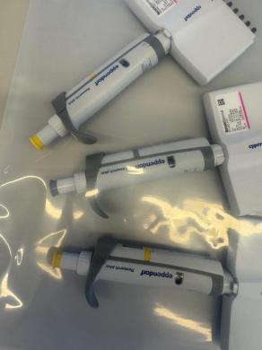 Eppendorf Research Plus Multichannel PIpettes - Quantity 3-cover