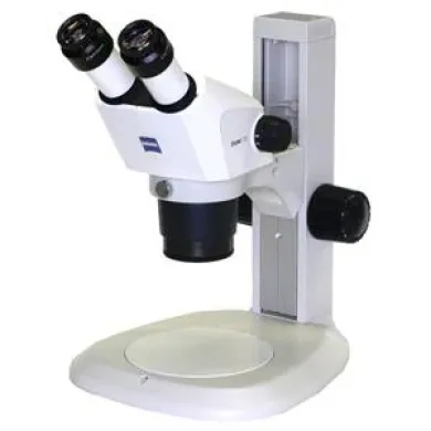 Zeiss Stemi 305 Binocular Stereo Microscope with Plain Table Stand