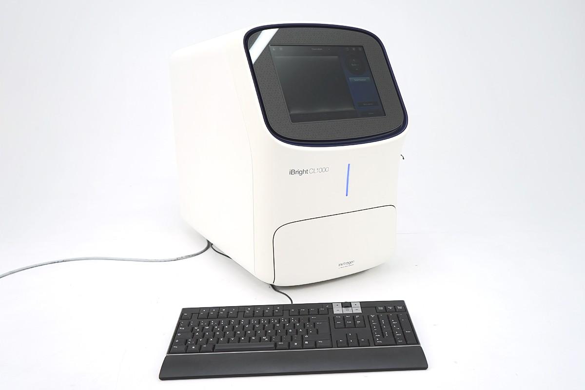 Thermo Scientific iBright CL1000 Chemiluminescence Imaging System for Western Blot Analysis