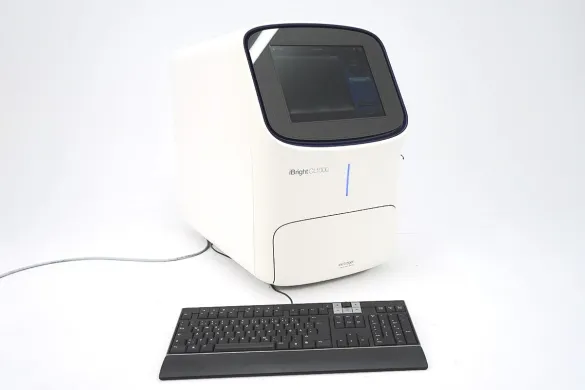 Thermo Scientific iBright CL1000 Chemiluminescence Imaging System for Western Blot Analysis