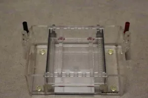 Biometra Agagel Standard Electrophoresis Cell for DNA and RNA Separation, 2 of 3