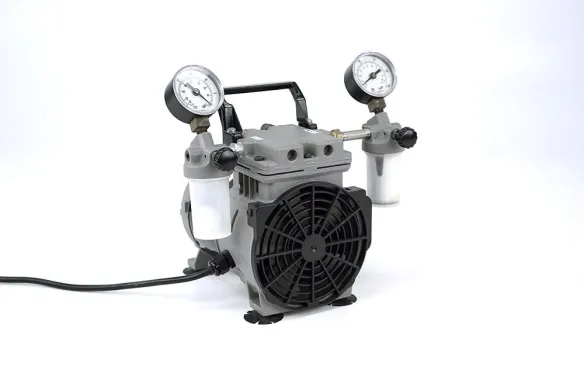Thomas Welch 2534C-02 Standard-Duty Dry Vacuum Piston Pump, 28 L/min
