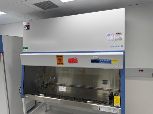 Thermo 1300 Series A2 Model 1377 6-Foot Class II Type A2 Biosafety Cabinet-cover
